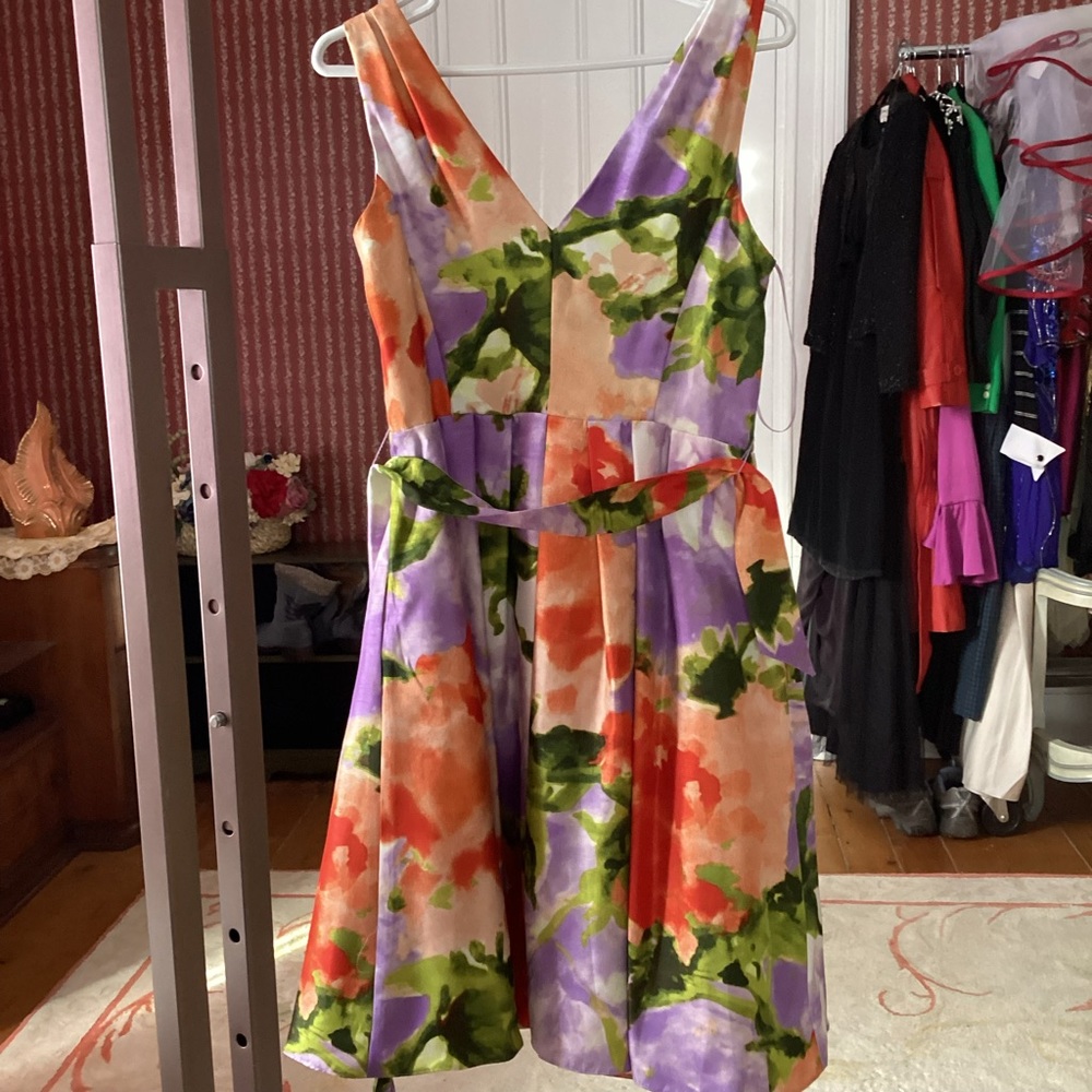 Spring Frock. Floral Spring Dress - Picture 4 of 10